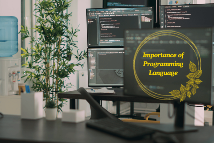 Programming Language